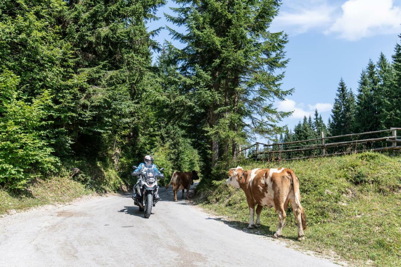 Ferienwohnungen Panorama Harrys Bike Tours فيلاخ المظهر الخارجي الصورة